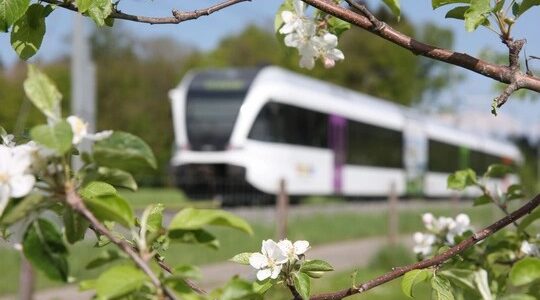 Grenzenlos mobil am Bodensee