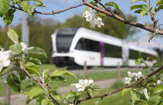 Grenzenlos mobil am Bodensee